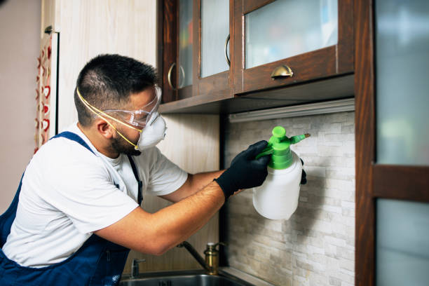 Lone Pine, CA Pest Control Company