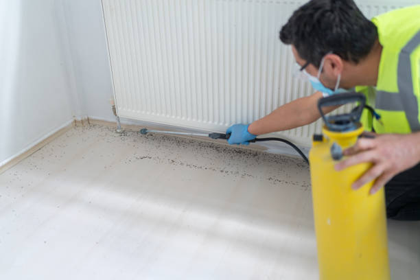 Best Pest Removal Services  in Lone Pine, CA