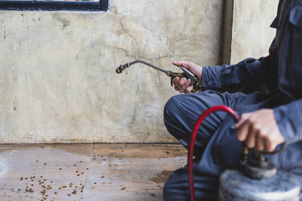 Best Best Pest Control Companies  in Lone Pine, CA